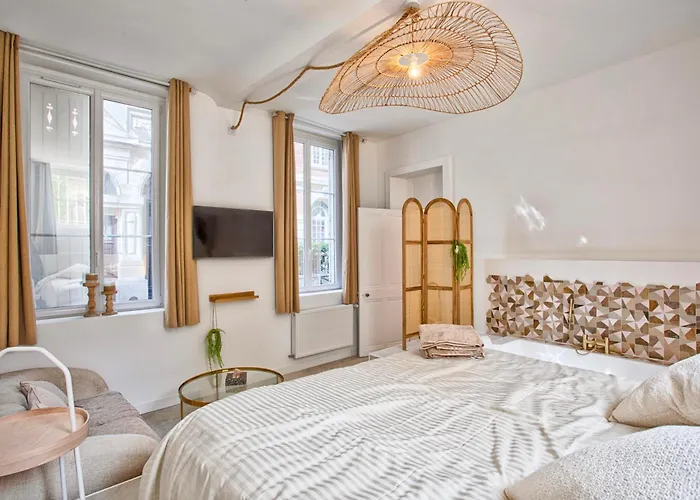 Apartman Le Saint-sauveur - Balneotherapy Bathtub - Hypercentre *